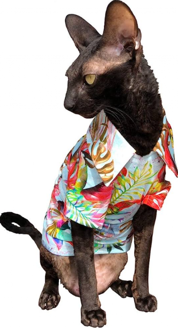 Baju kucing dengan motif tribal